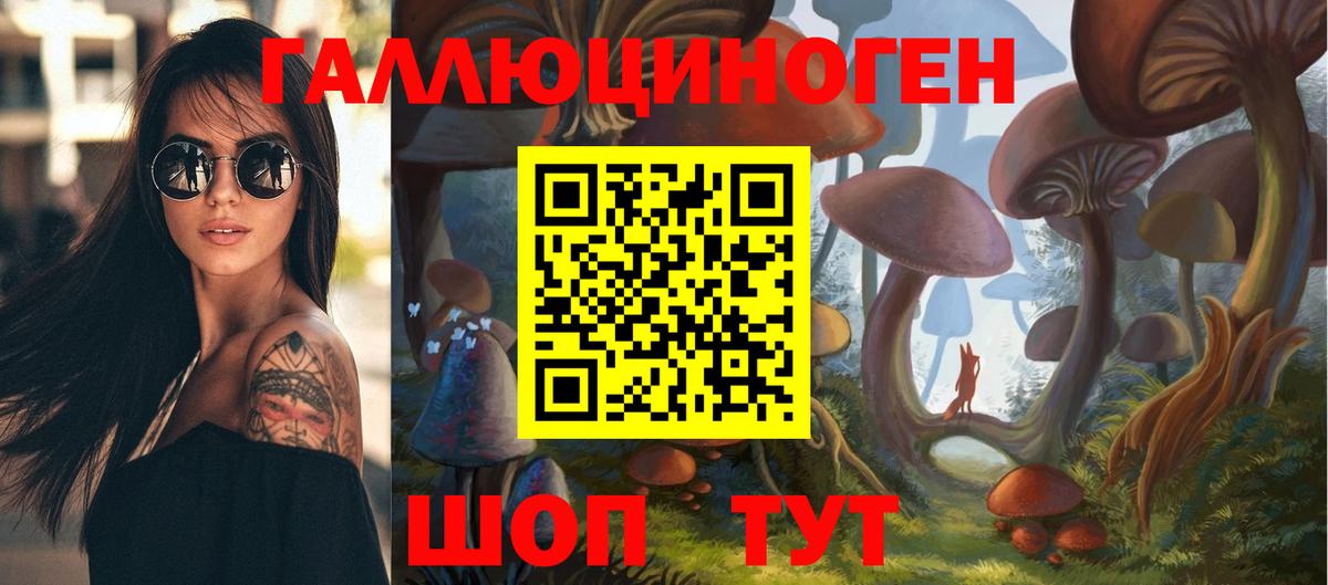 Галлюциногенные грибы мицелий Сосновый Бор