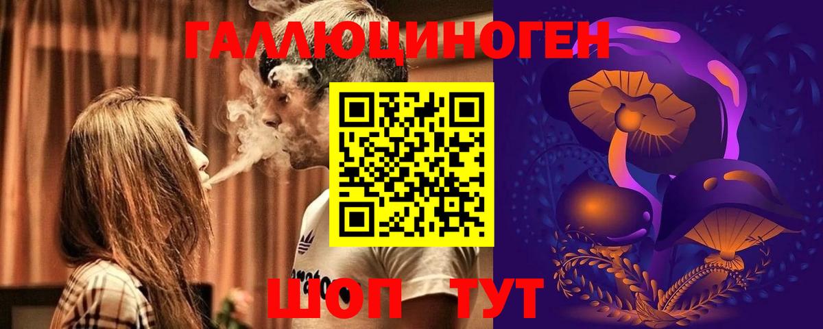 Псилоцибиновые грибы прущие грибы  Псилоцибиновые грибы Cubensis  Вход с VPN  Сосновый Бор 