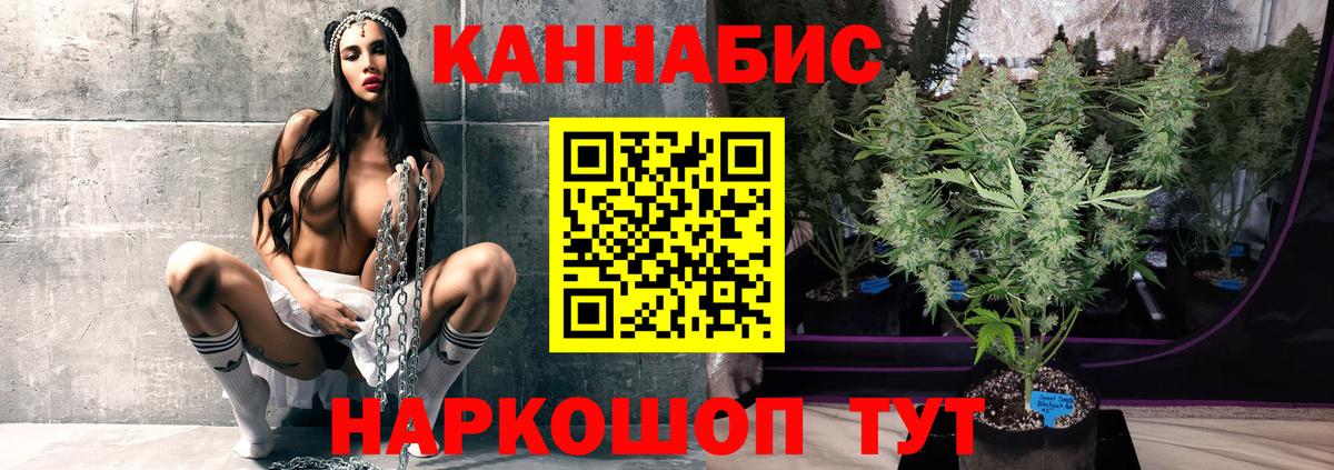Бошки марихуана Amnesia Сосновый Бор